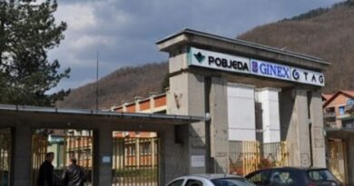 Razlozi za smjenu direktorice Ginexa: Od pogodovanja kupcima u Srbiji do odbijanja širenja proizvodnje